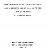 山東祥東新材料科技有限公司1.2萬噸/年6-叔丁基鄰甲(60K)、4-叔丁基鄰甲酚(偏 24 酚)和 4，6-二叔丁基鄰甲酚(偏 246 酚)烷基甲酚項(xiàng)目竣工環(huán)境保護(hù)驗(yàn)收監(jiān)測(cè)報(bào)告